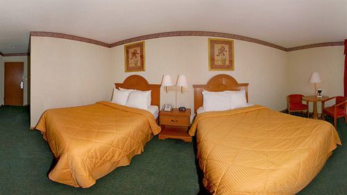 Hotel Quality &